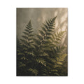 Fern Study