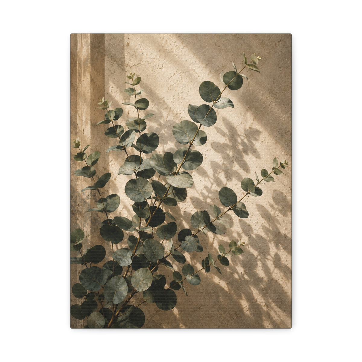 Eucalyptus Silence