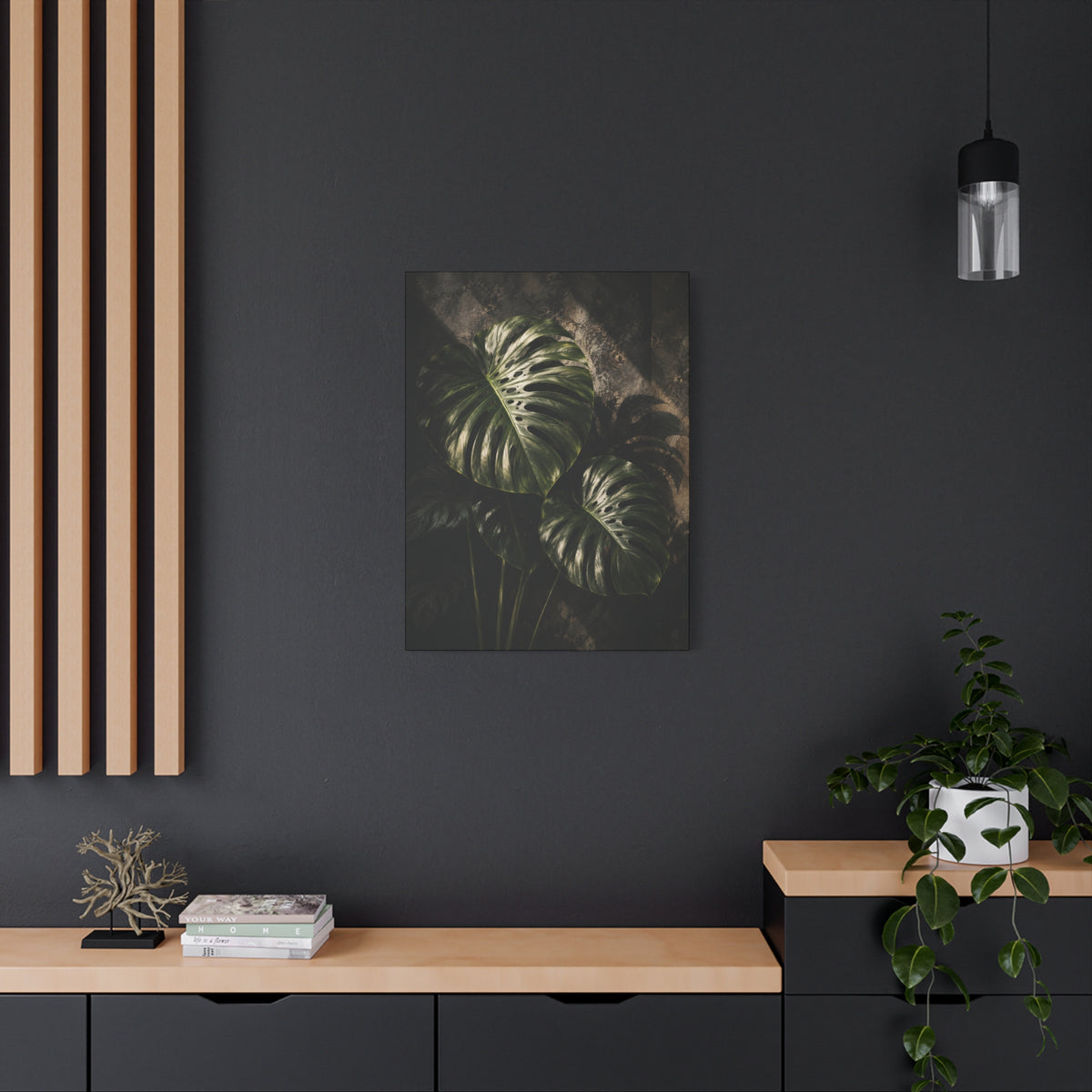Monstera Nocturne
