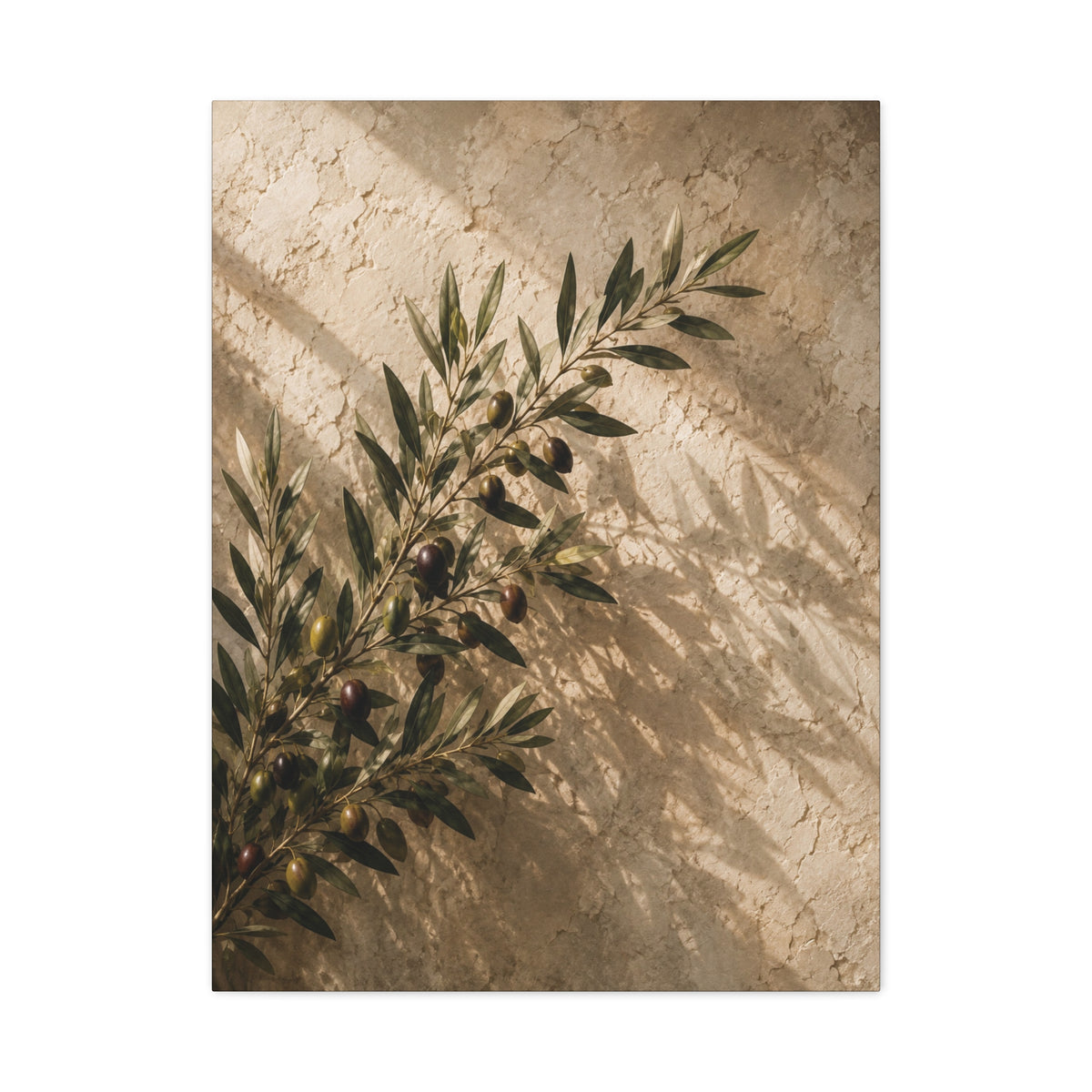 Olive Reverie