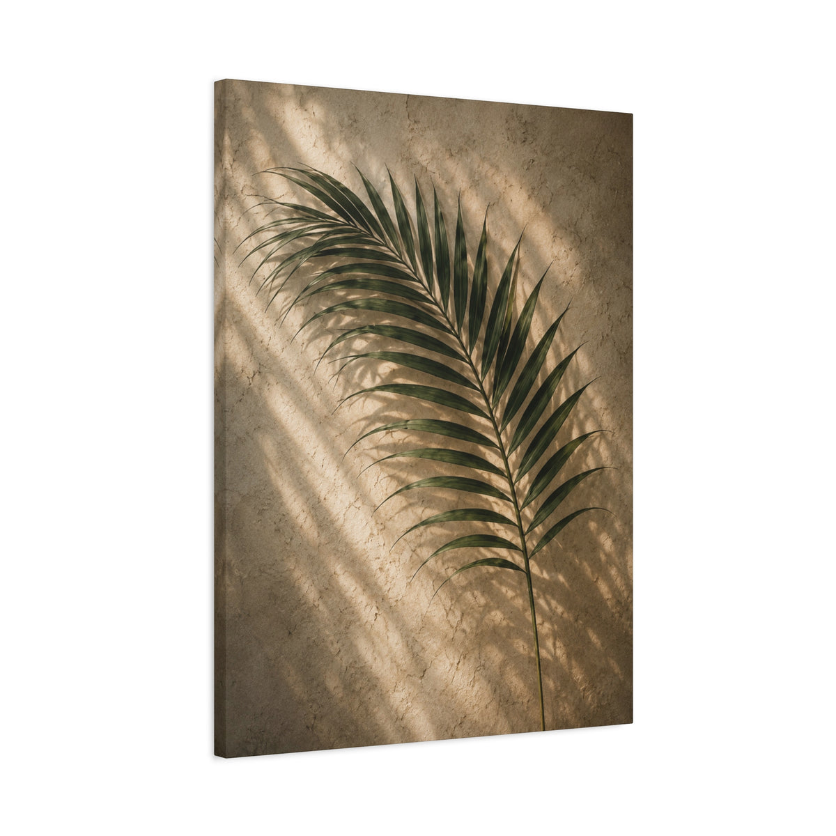 Terracotta Palm