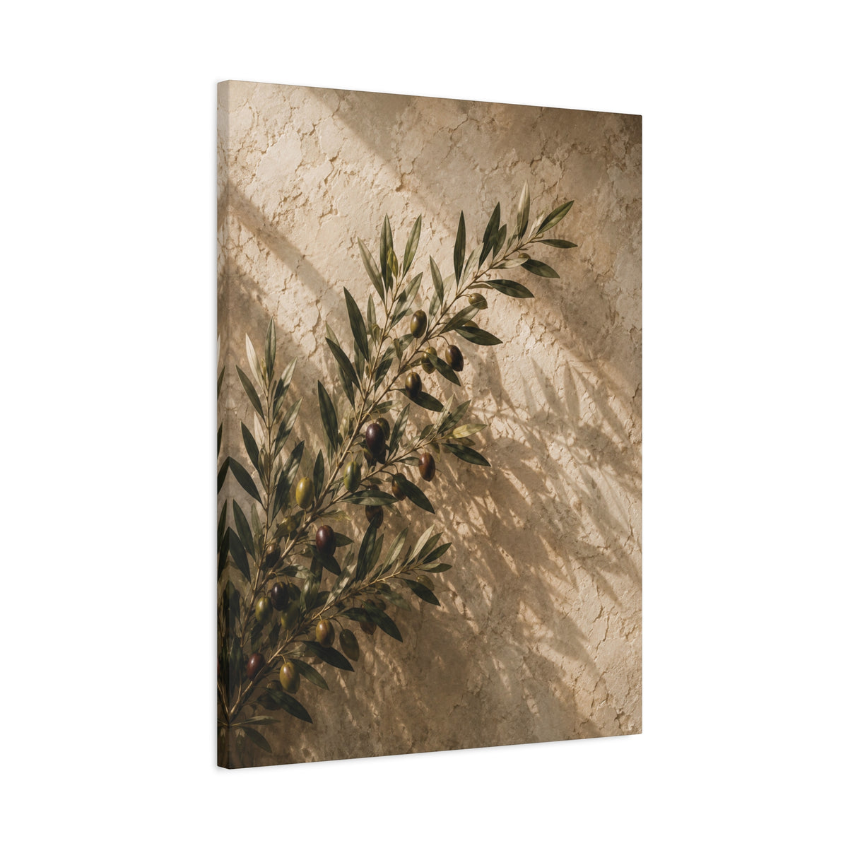 Olive Reverie