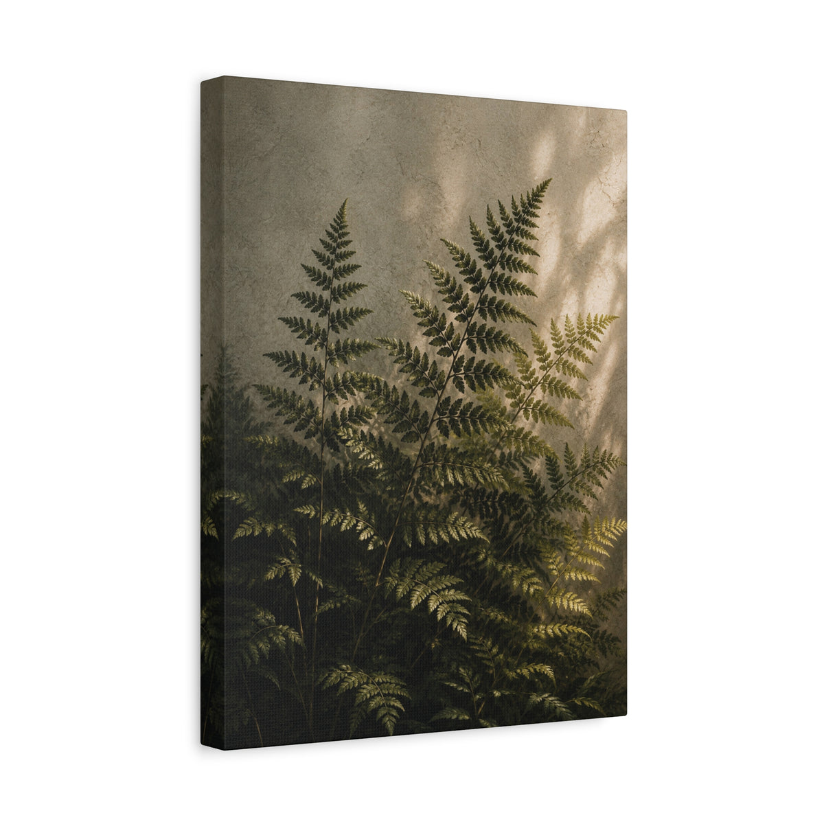 Fern Study