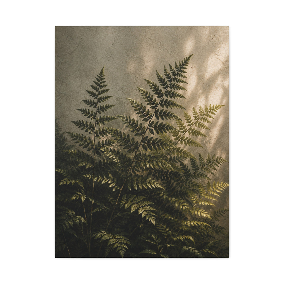 Fern Study