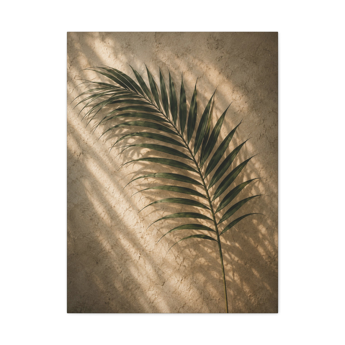 Terracotta Palm